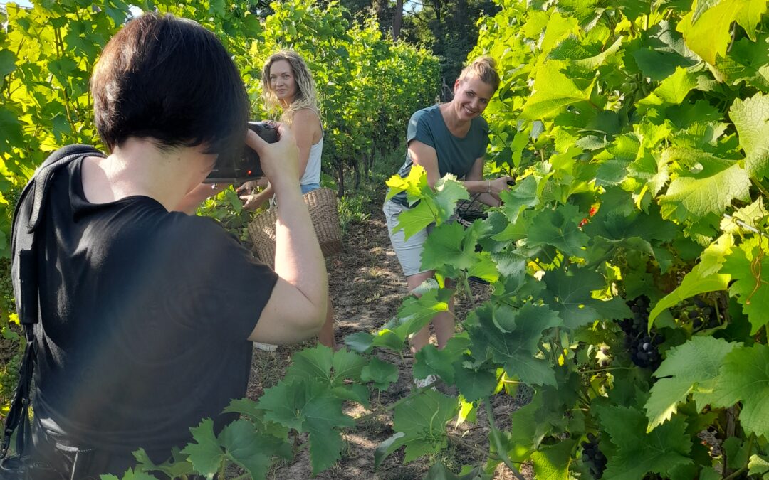 Fotoshooting im Weinberg