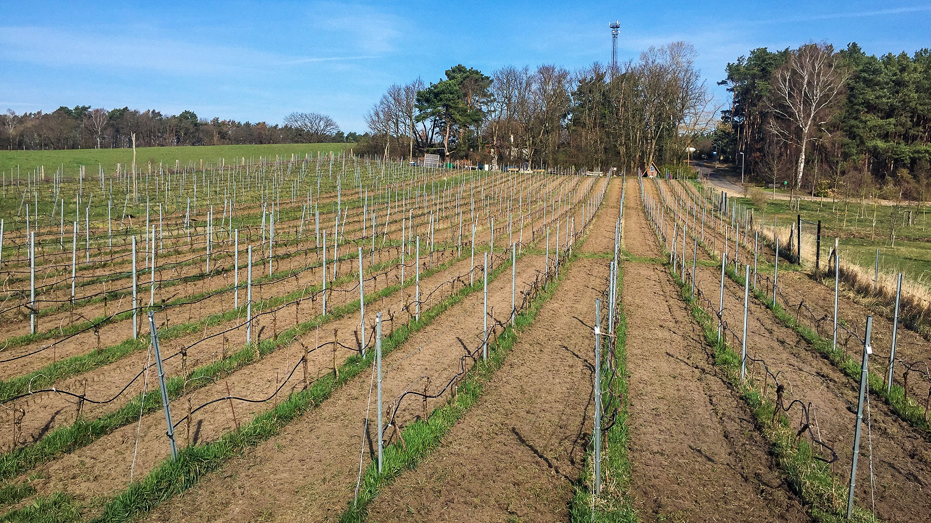 Bodenbearbeitung mit neuem Traktor