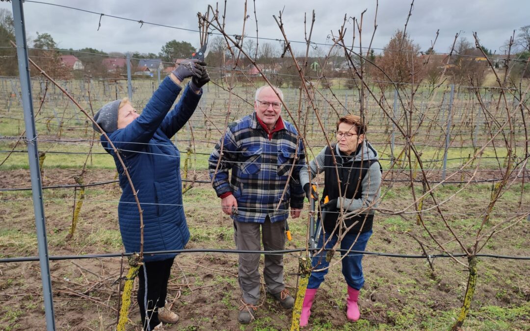 Wieder ist Leben im Weinberg