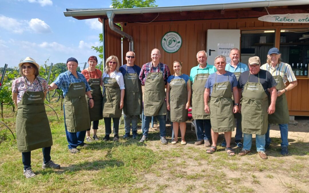 Bambi und andere Gäste im Weinberg