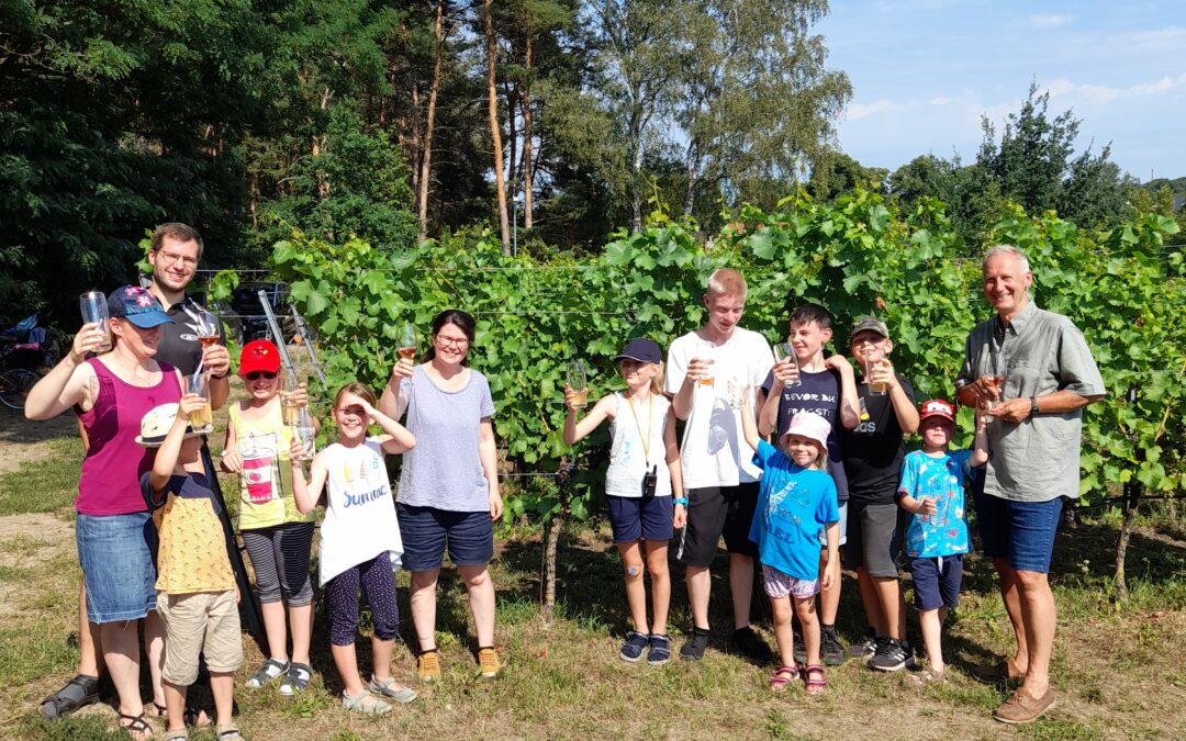 Kinder im Weinberg